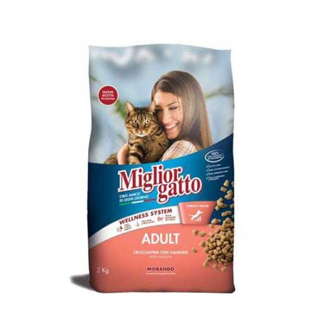 [Miglior] Miglior Gatto Adult Croquettes Salmon 2kg Bag 8007520105217